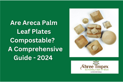 Are Areca Palm Leaf Plates Compostable? A Comprehensive Guide - 2024