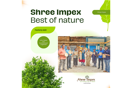 Areca Palm Leaf Plates: A Sustainable and Profitable Business Opportunity