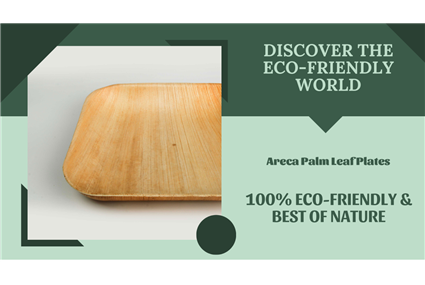 Discover the Eco-Friendly World of Areca Palm Leaf Plates