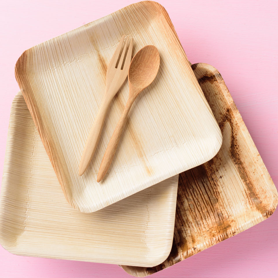 Areca Palm Plates